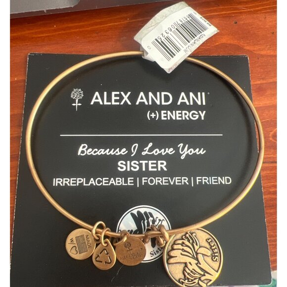 Alex Ani Sister Bangle Bracelet 9" Gold Tone Expandable Because I Love You NWT - Picture 1 of 4